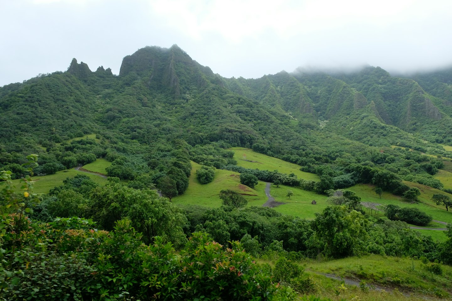 Lush green tropical mountains with jagged peaks above verdant valleys and trees.